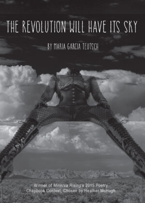 The Revolution Will Have Its Sky