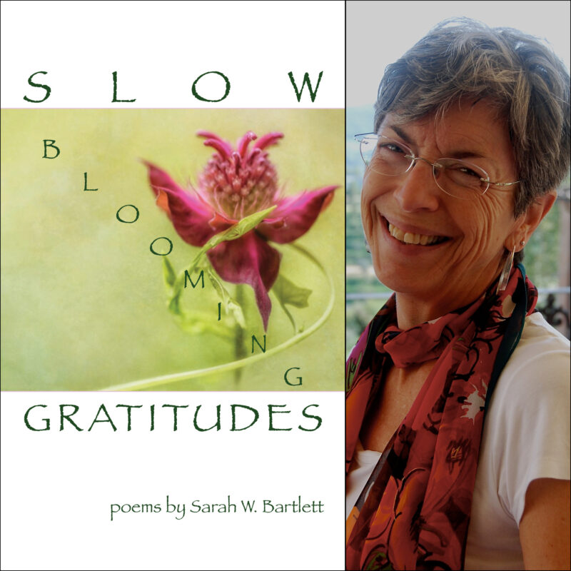 Review: In Sarah W. Bartlett’s Slow Blooming Gratitudes, Time passes, each moment a present.