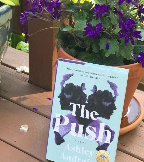 The Push by Ashley Audrain