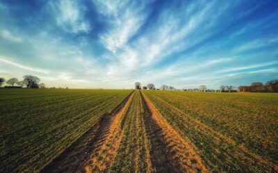 At Best Farm in Monocacy, Maryland  By Kelsi Folsom