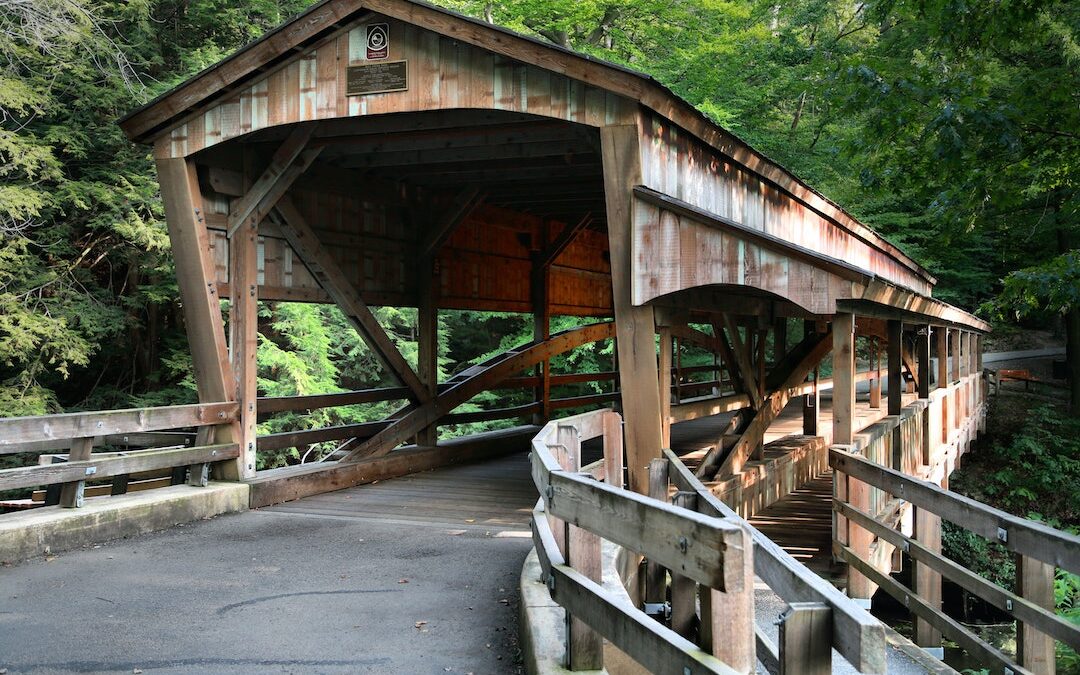 THE COVERED BRIDGE  By Eliza Laffin