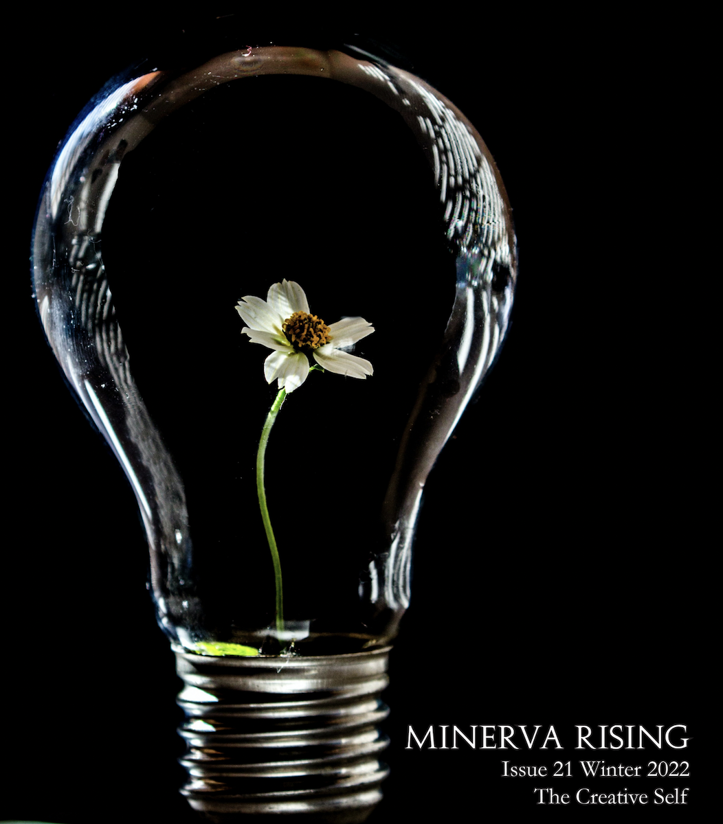 Minerva Rising Issue 19 cover