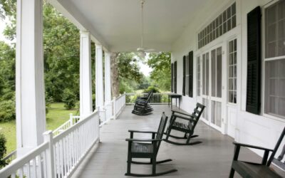 Screen Door by Mary Lewis