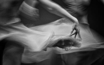 In the Arms of Gravity by Veronica Wasson