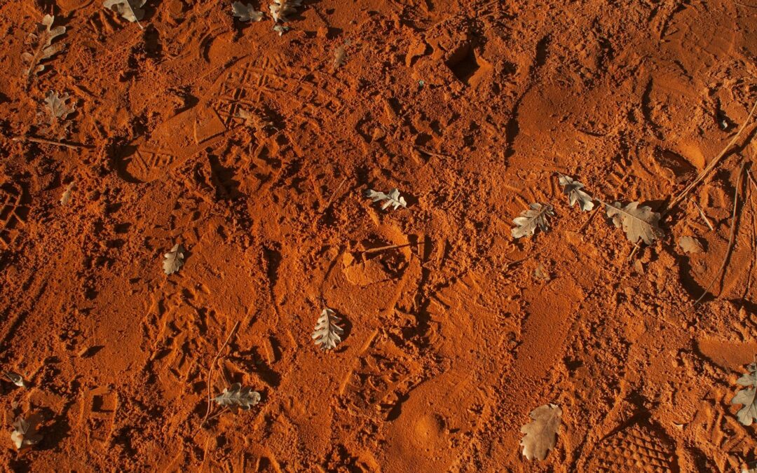 Red Planet, With Exit Wounds by Laura Ingram