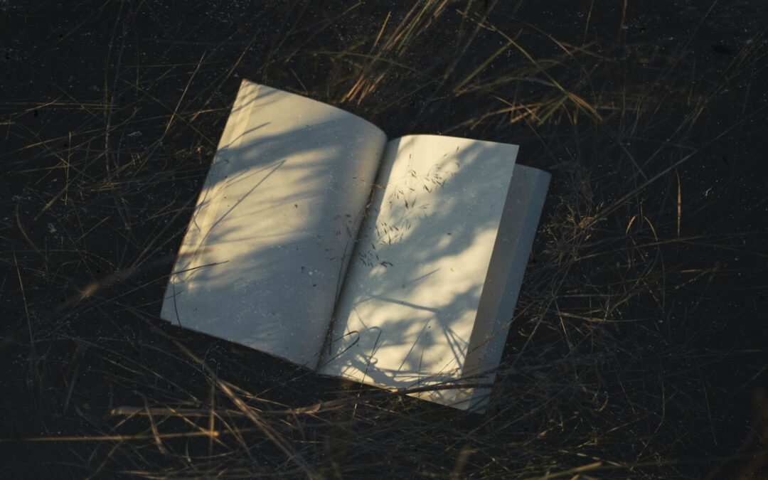 Star Days by Loie Rawding