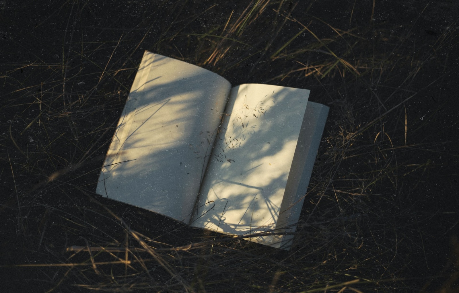 two cast iron pots over a flame